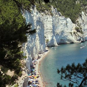 Camping Apartment Vignanotica